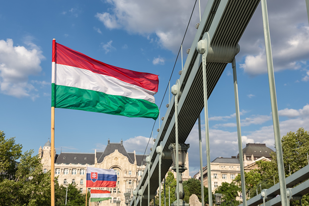 Slovensko-maďarské kooperačné podujatie
